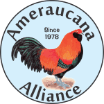 Ameraucana Forum