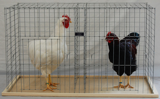 Keipper Cooping Poultry Coop
